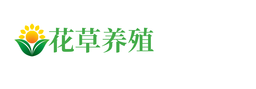 兴仁网站建设_网站建设公司_网站建设设计制作_seo优化